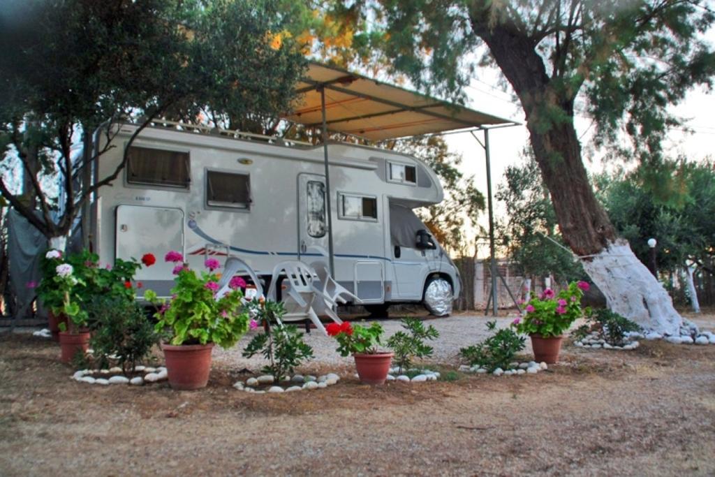 Creta Camping Goúvai Ngoại thất bức ảnh