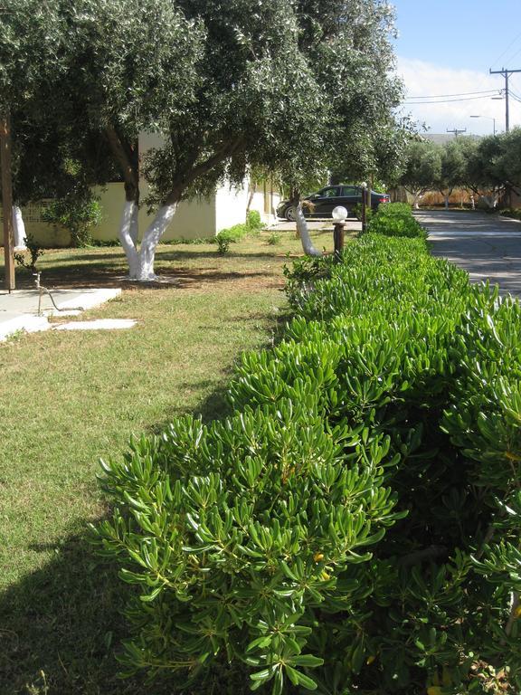 Creta Camping Goúvai Ngoại thất bức ảnh